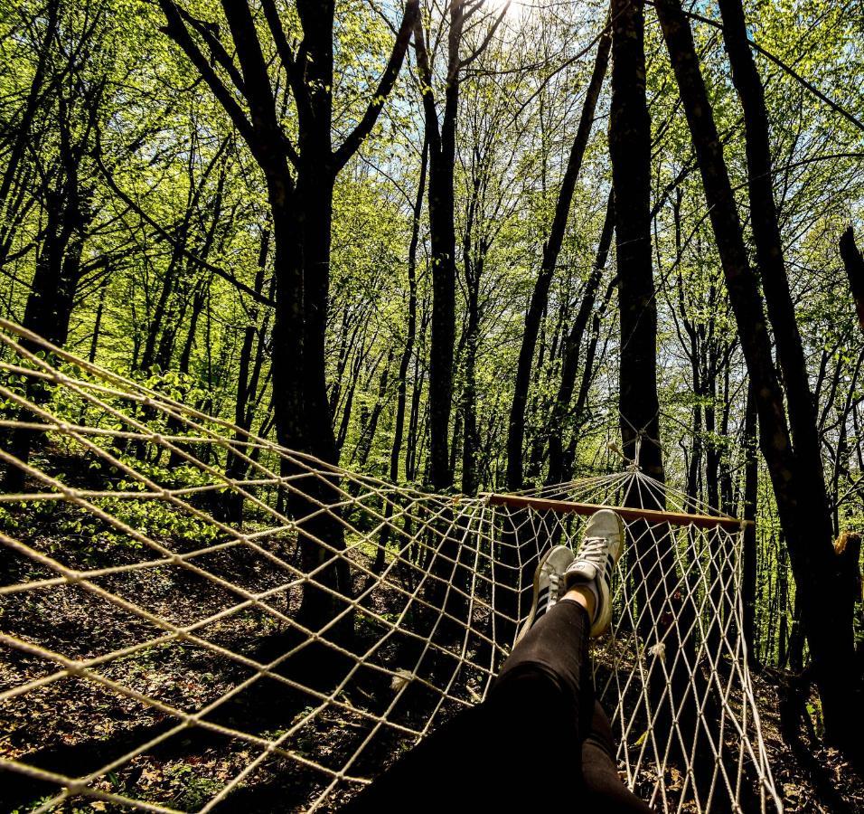Robinzonski Turizam "Robin' S Hood" Skrad Esterno foto
