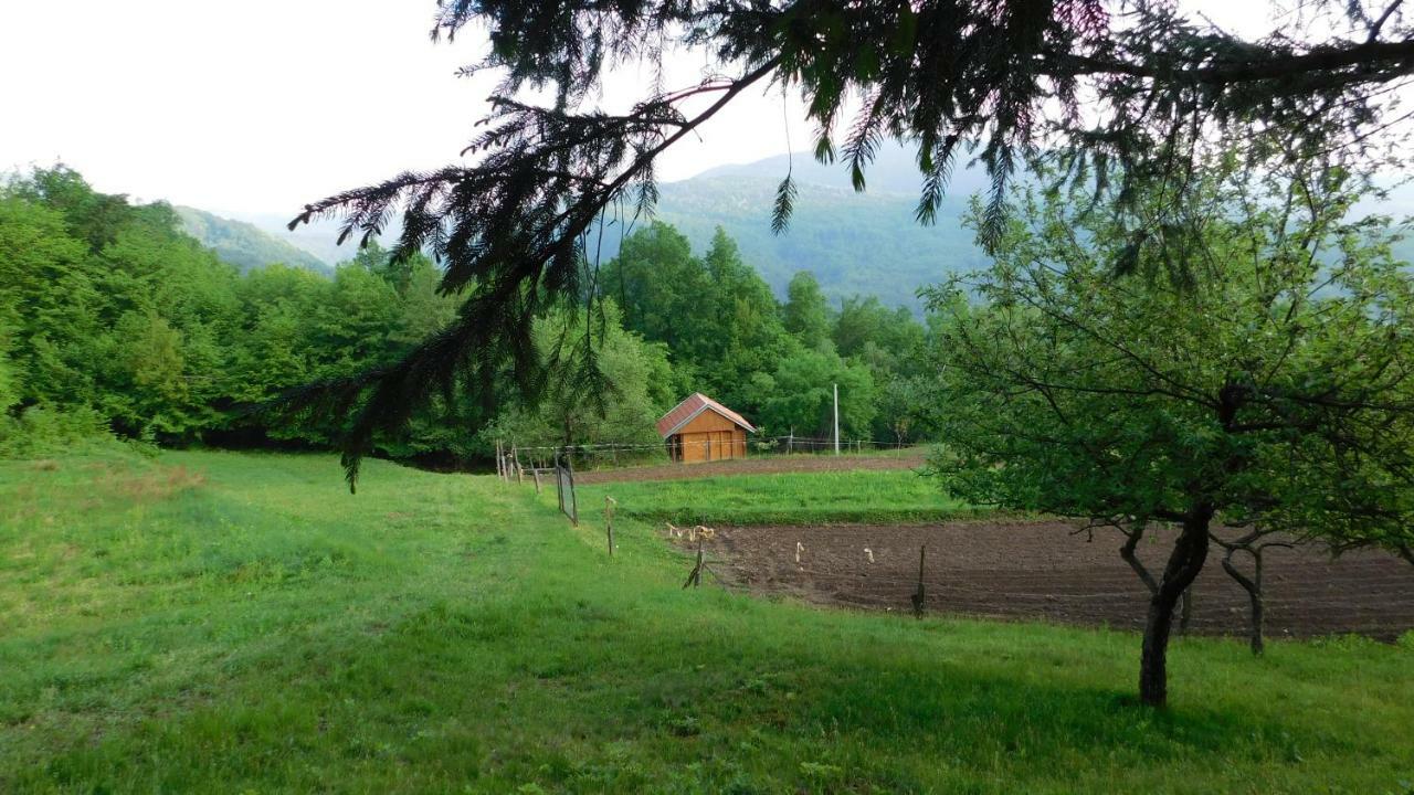 Robinzonski Turizam "Robin' S Hood" Skrad Esterno foto